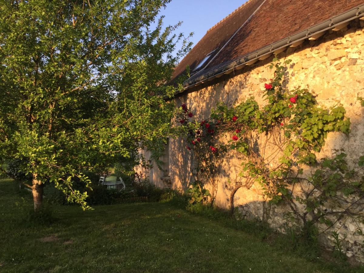 Chambres D'Hotes La Ferme Du Grand Launay Semblançay エクステリア 写真