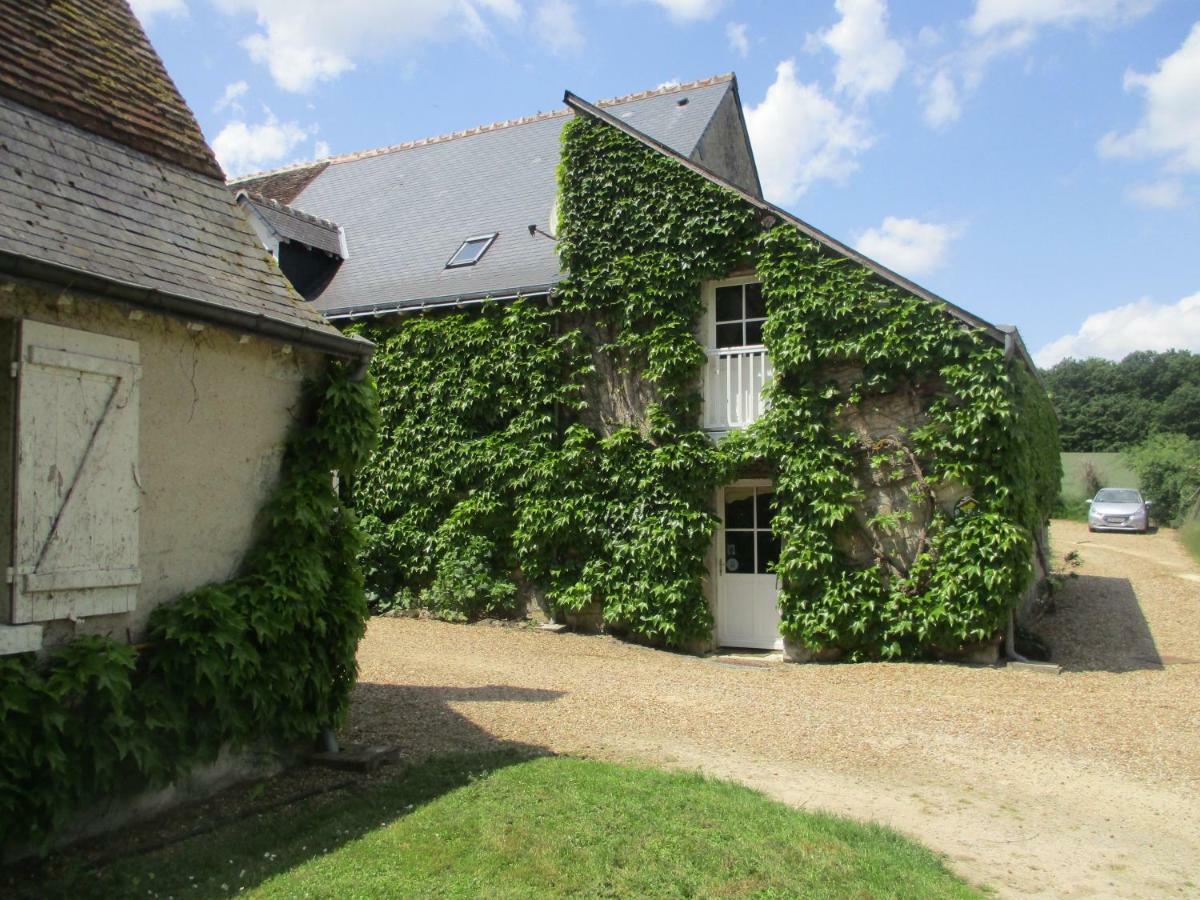Chambres D'Hotes La Ferme Du Grand Launay Semblançay エクステリア 写真